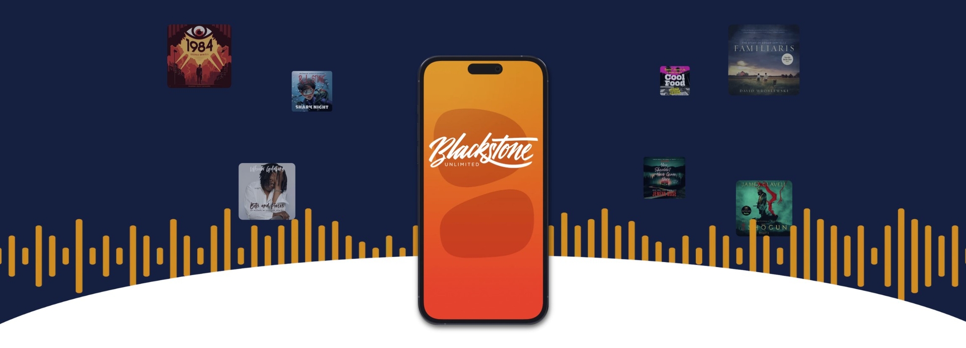 Featured Project - Blackstone Unlimited - Vevol Media